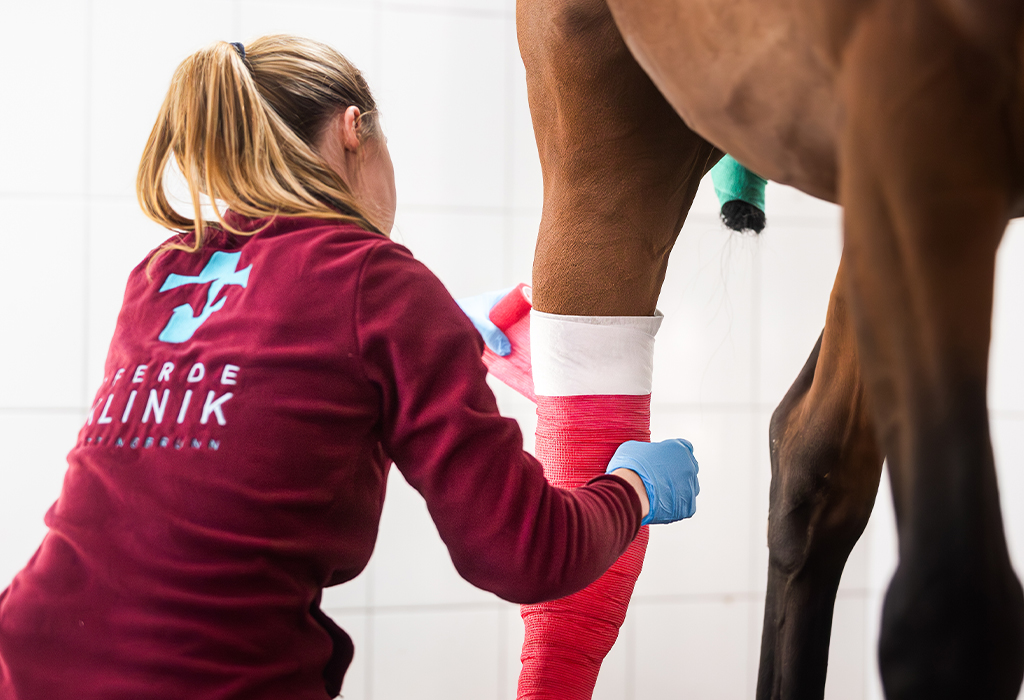 Kronbein verbinden – Tierklinik Kottingbrunn Pferdeverband Kottingbrunn