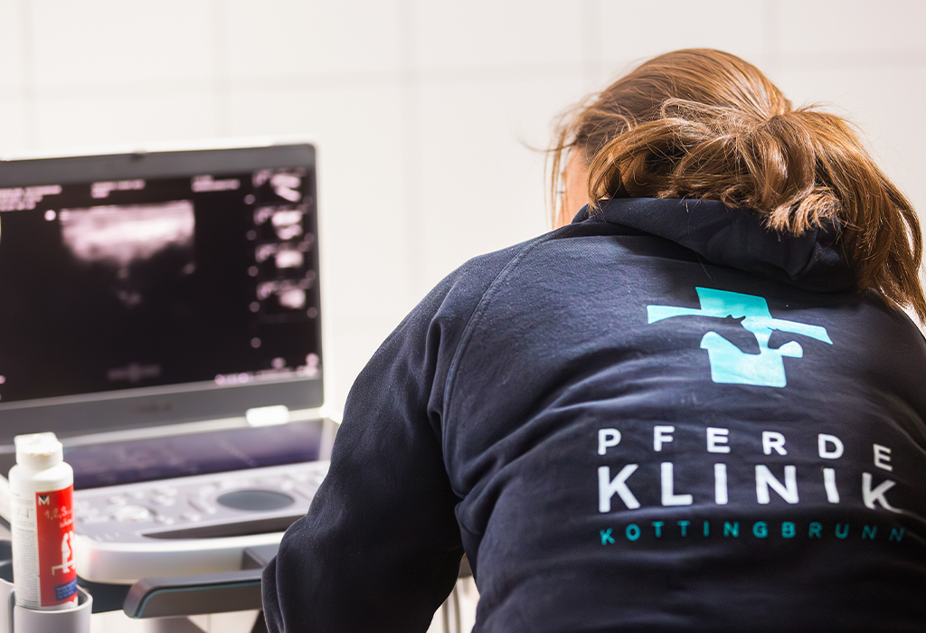 Pferd Ultraschall – Tierklinik Kottingbrunn Ultraschall Pferd Kottingbrunn