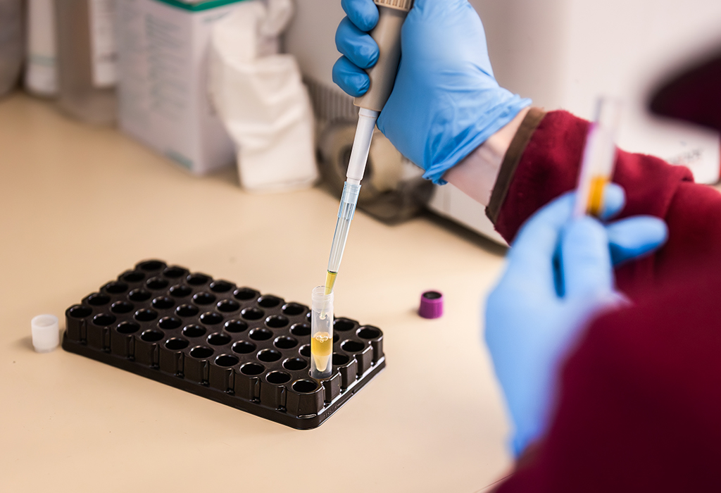 Laboruntersuchung Tierklinik Kottingbrunn